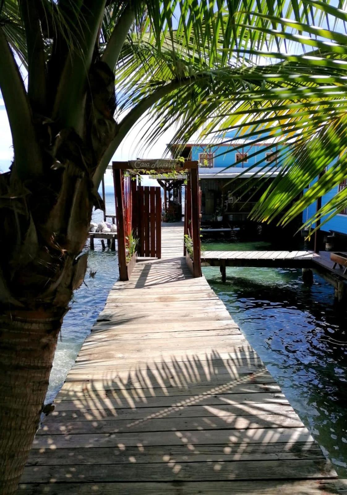 Casa Acuario Boutique Bocas del Toro