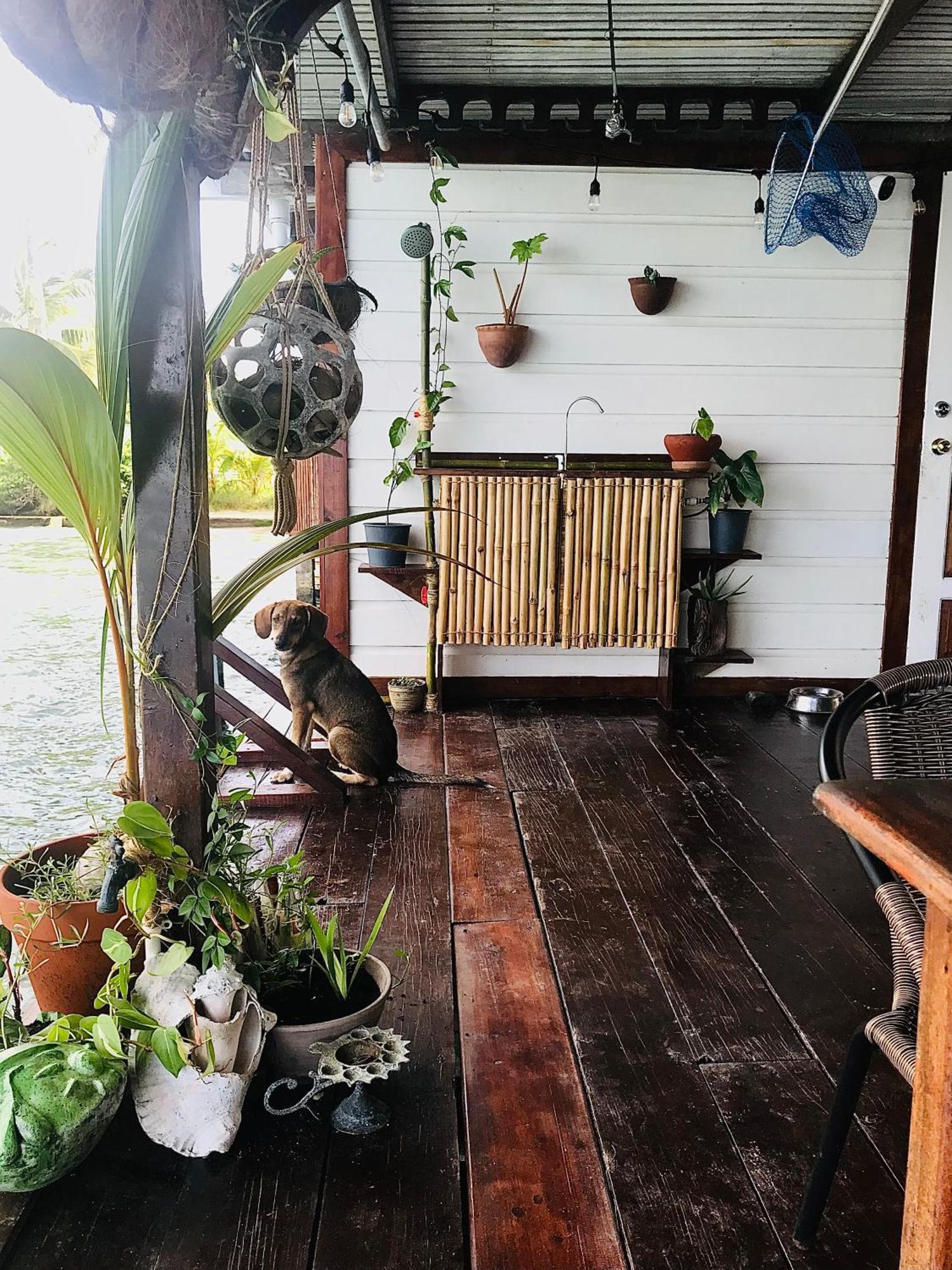 Casa Acuario Boutique 2* Bocas del Toro